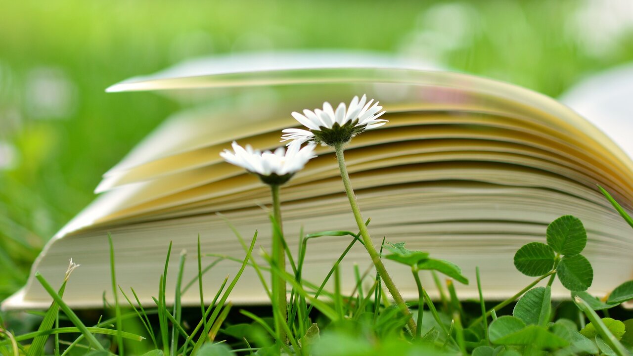 Foto: © Pixabay Event Buchvorstellung