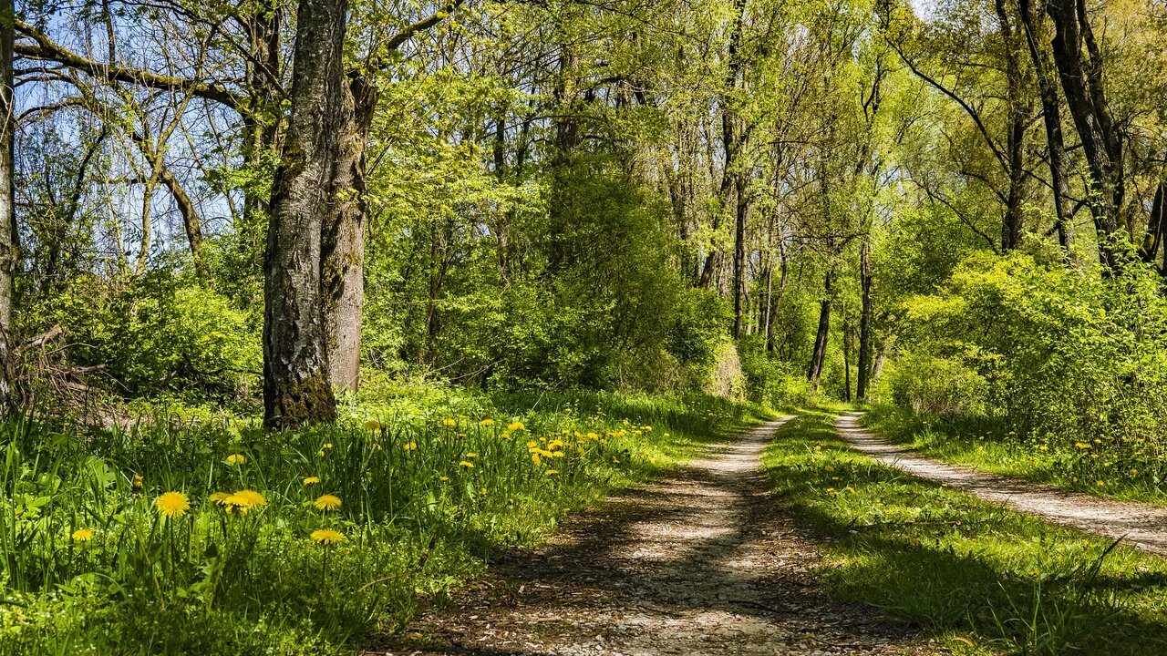 Foto: © Pixabay Event Spinges - gehört geschaut...
