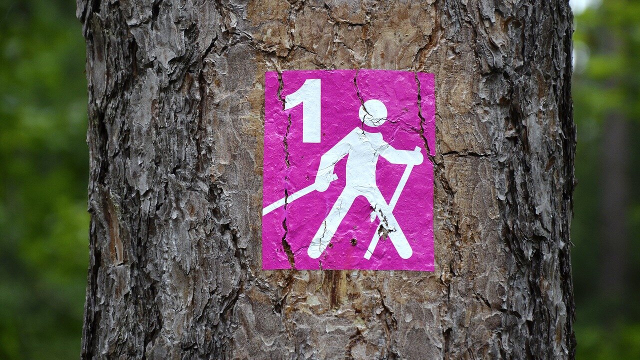 Foto: © Pixabay Event Nordic Walking