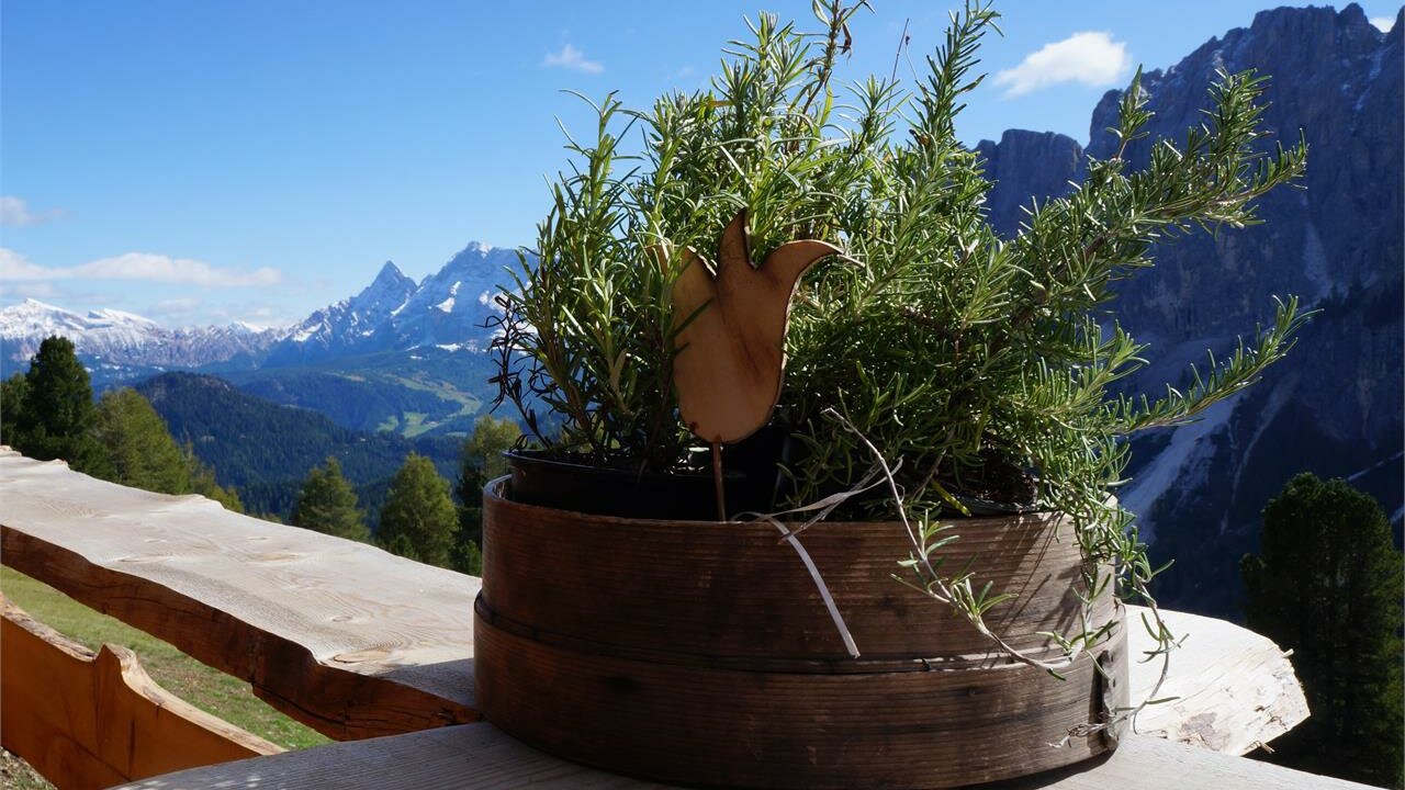 Foto: © San Vigilio / San Martin Event Genuss aus frischen Frühlingskräutern