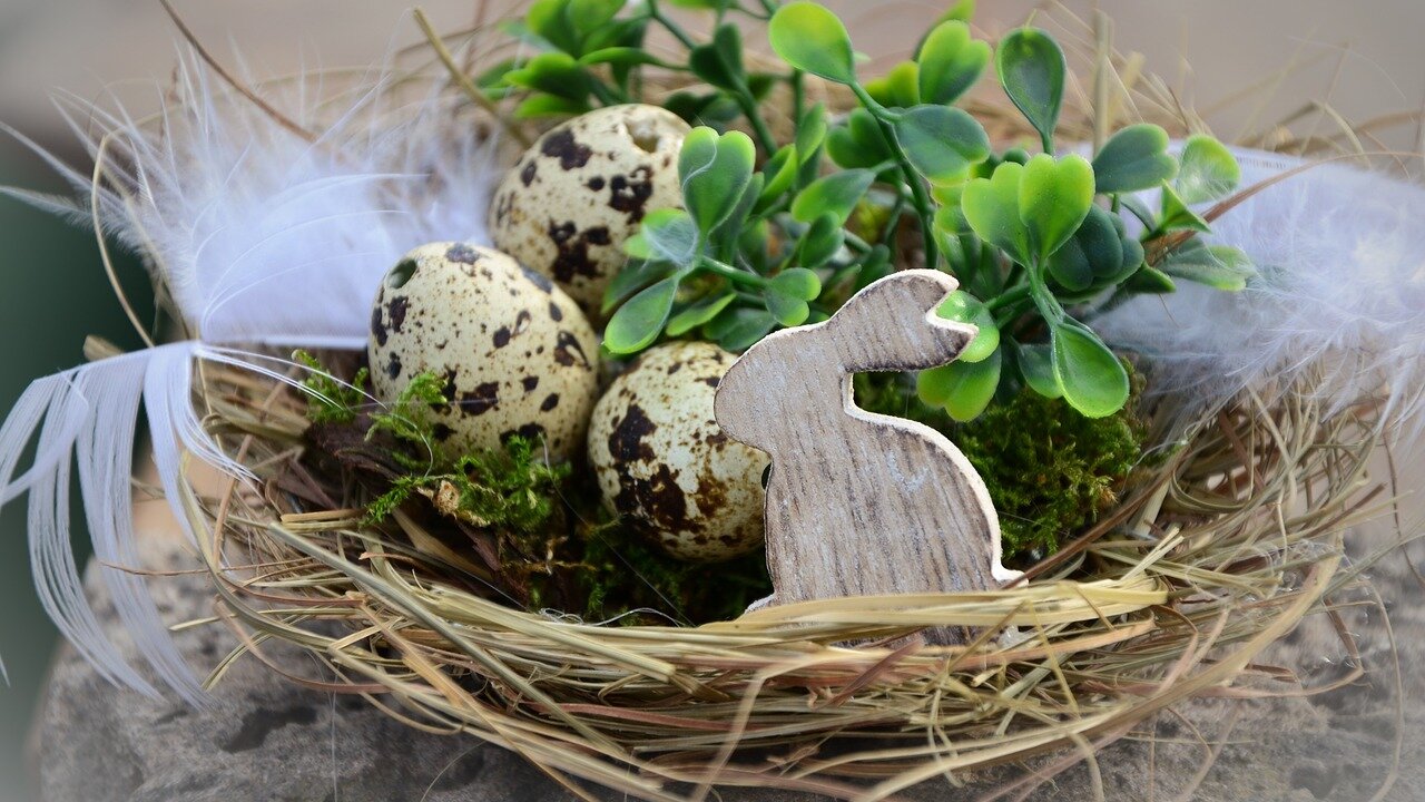 Foto: © Pixabay Event Saisoneröffnung mit Osterquiz