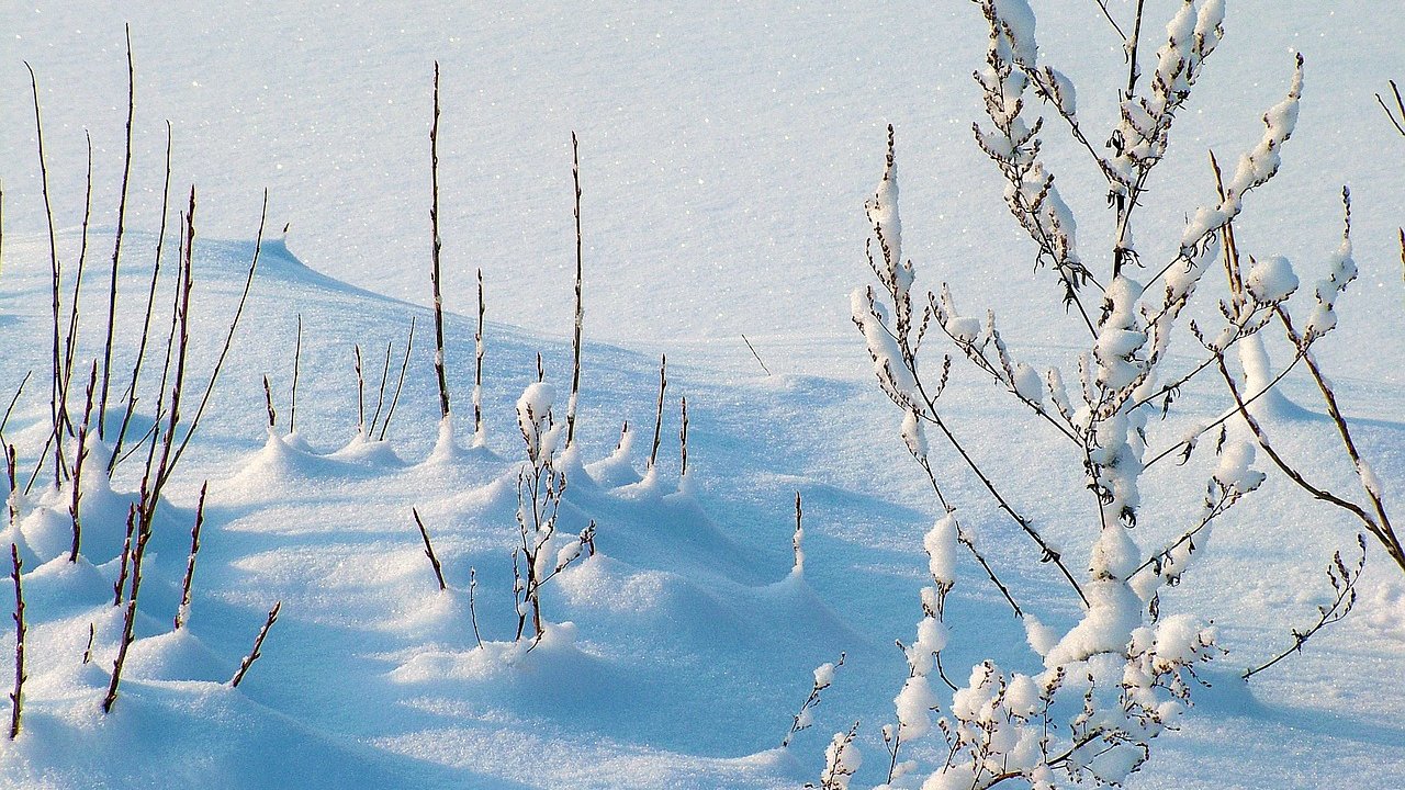 Foto: © Pixabay Event Schneeschuhwanderung