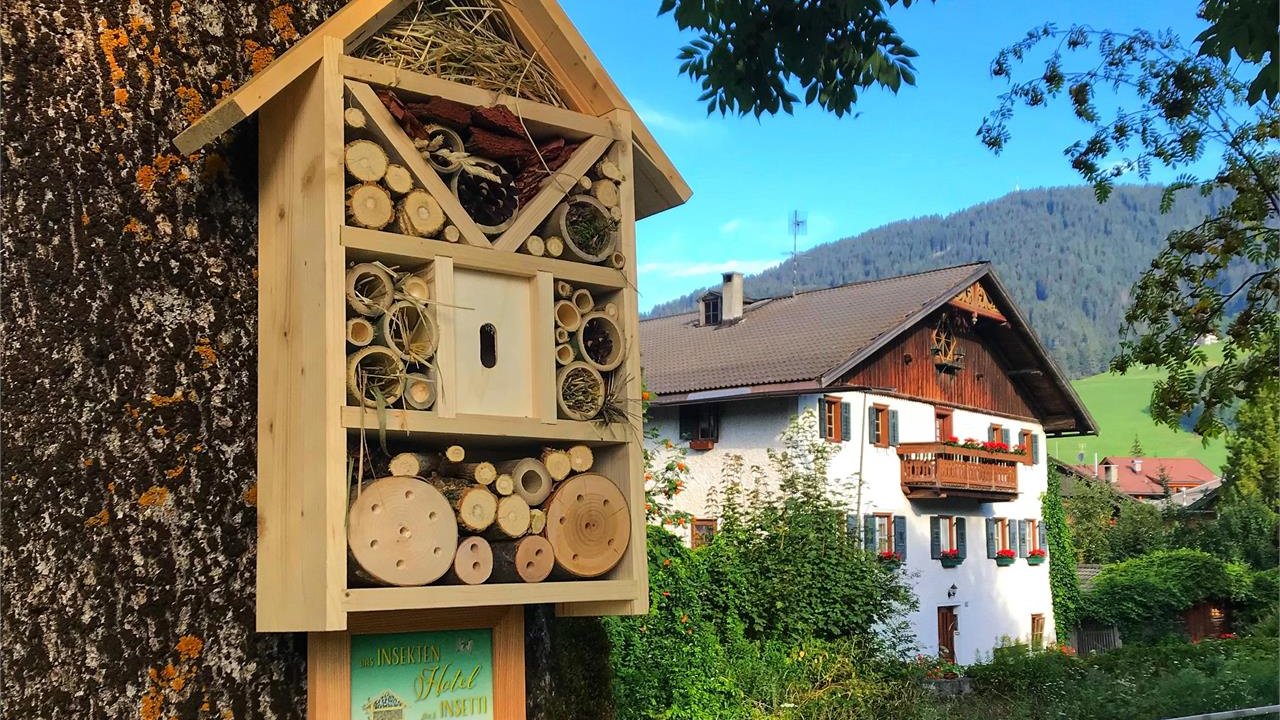 Foto: © Tourist Info Innichen / San Candido Event Costruiamo un'albergo per insetti