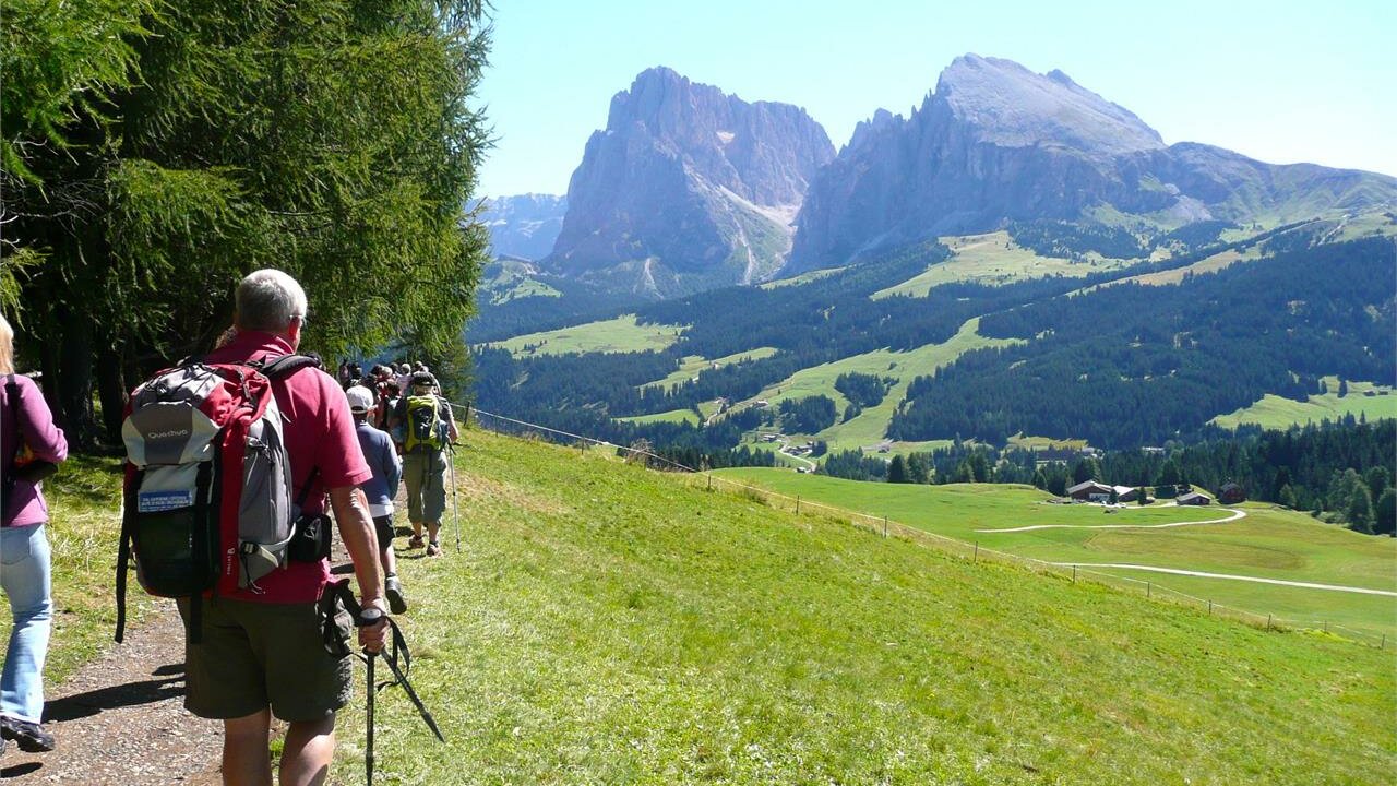 Foto: © Tourismusverein St. Christina Event Naturwanderung auf der Seiser Alm