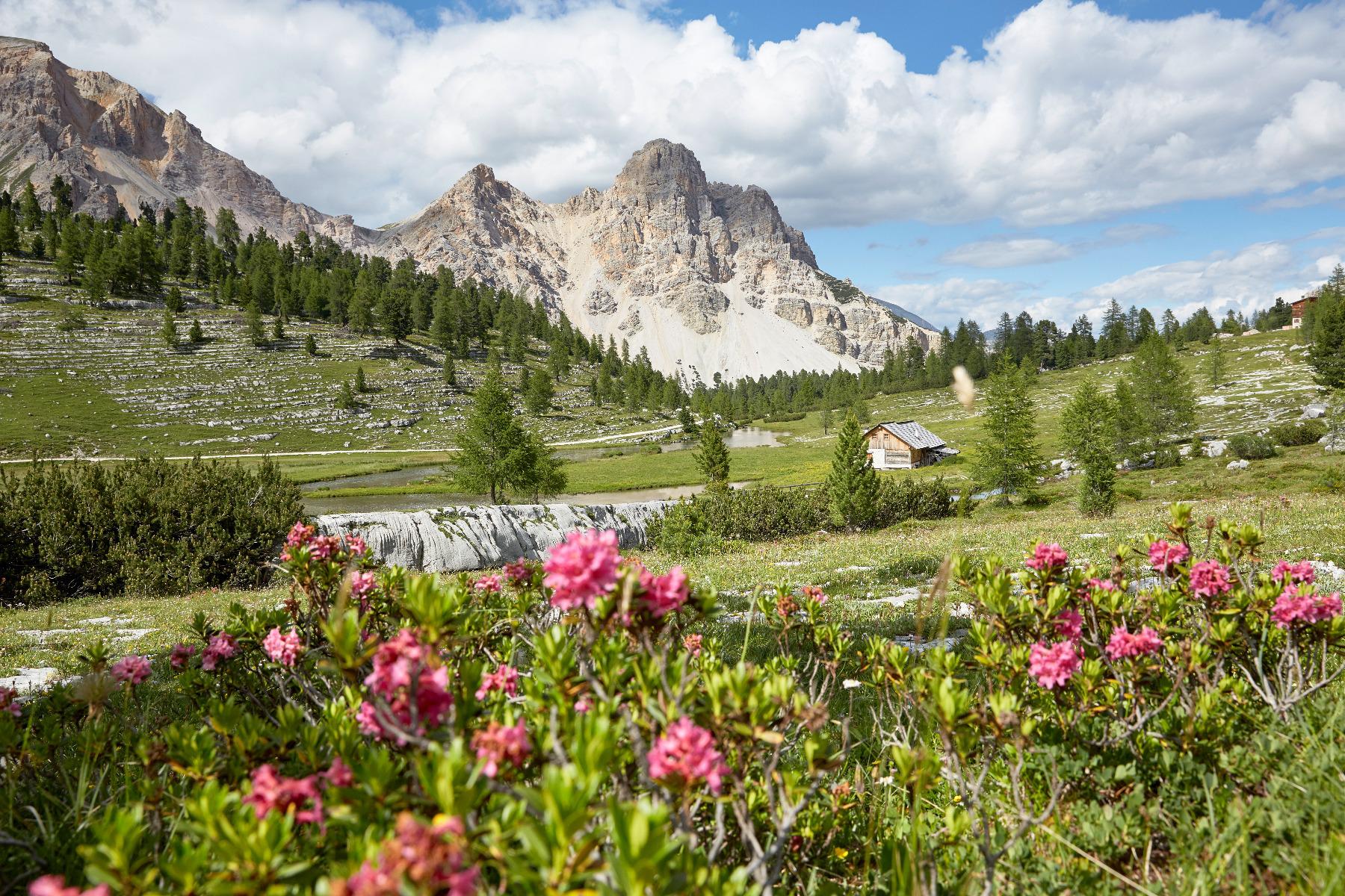 Gipfelwanderung mit Willi Wochenprogramm