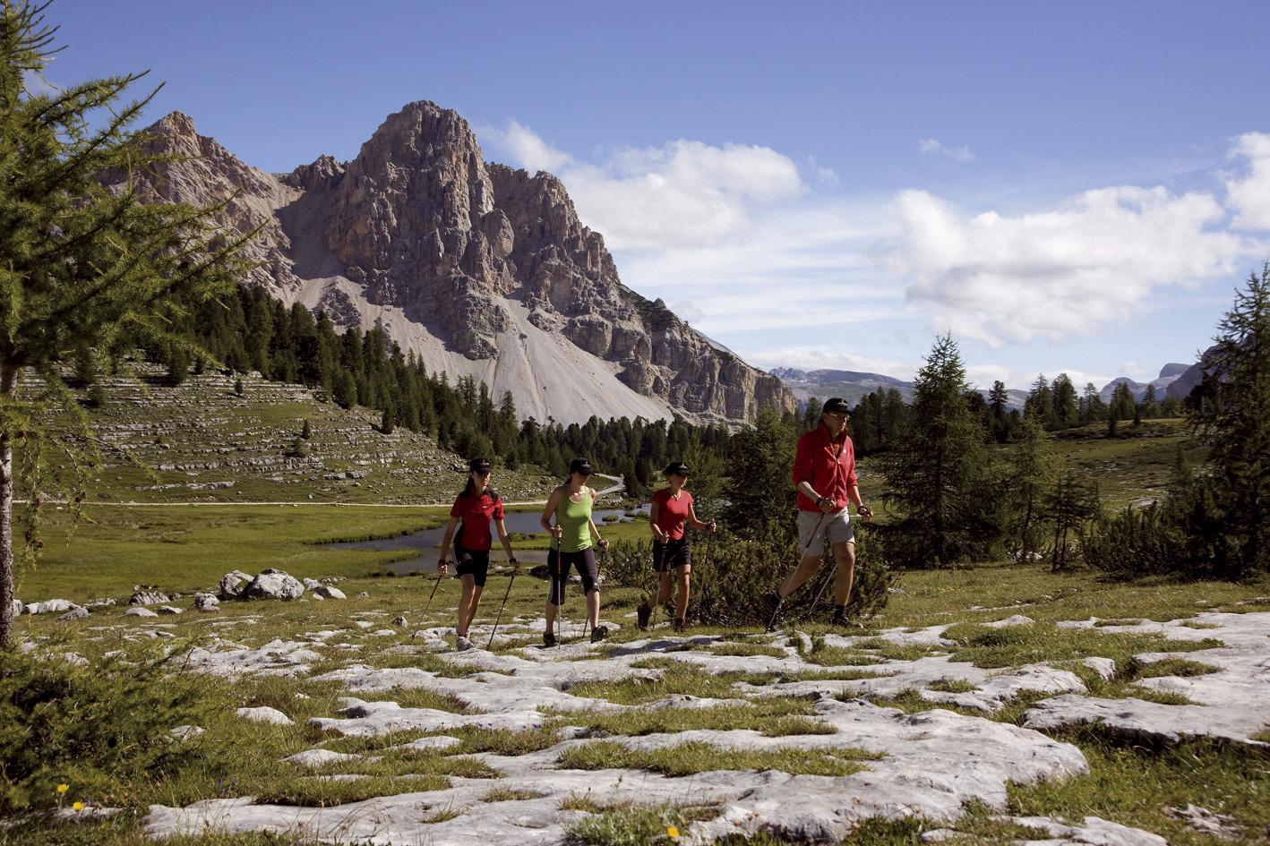 Nordic Walking mit Willi Wochenprogramm
