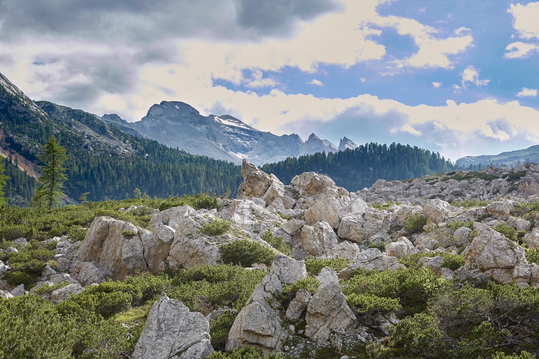 Geführte Wanderung - Tourismusverein Wochenprogramm